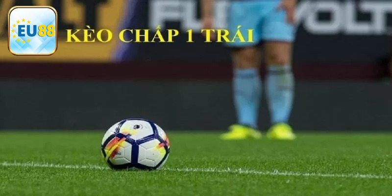 Cách xem kết quả cá cược