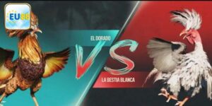 Game Đá Gà Phong Cách Mới Thưởng Khủng Tại Trang Web Eu88